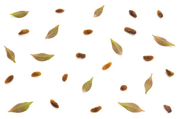 Top view of creative pattern with many yellow raisins and brown leaves