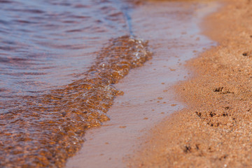 Beach and water. Footprints in the sand on a beach along the water. Picturesque beach in the summer.