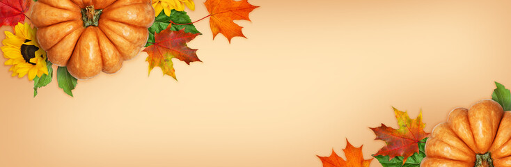 Ripe orange pumpkins with autumn colorful leaves and sunflowers in a corners