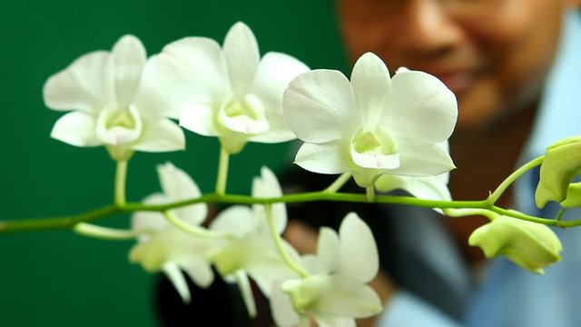 Man taking photo  with white vanda orchid , in studio Chiangmai Thailand