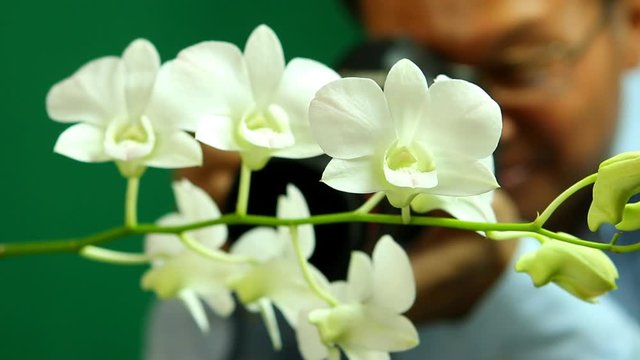 Man taking photo  with white vanda orchid , in studio Chiangmai Thailand