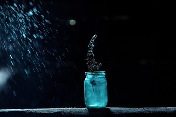 Obraz na płótnie Canvas branch in the jar in the rain