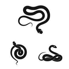 Fototapeta premium Vector illustration of nature and medicine sign. Set of nature and evil stock symbol for web.