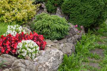 Flowers and bushes in the garden