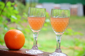 Glass of aperol spritz cocktail on a background of green foliage, selective focus