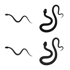Fototapeta premium Isolated object of mammal and danger icon. Set of mammal and medicine stock vector illustration.