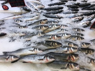 fresh fish on ice