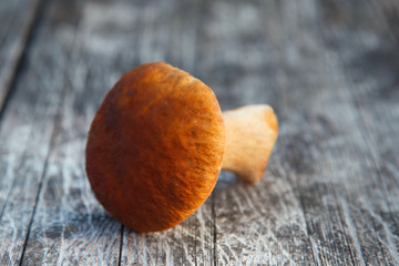 forest boletus on a wooden table
