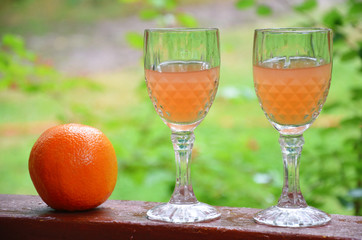 Glass of aperol spritz cocktail on a background of green foliage, selective focus