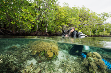 Wildlife photographer  filming over-under mangroves and coral reef in Raja Ampat Indonesia.