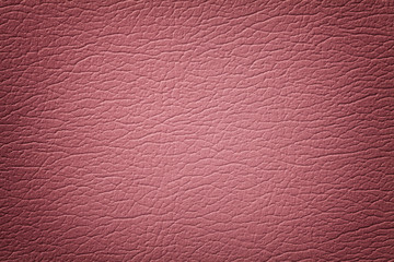 Fototapeta premium Dark rose leather texture background, closeup. Pink cracked backdrop from wrinkle skin