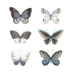 Set of flying butterflies blue, gray, turquoise, black and white colors. Vector illustration in vintage watercolor style.