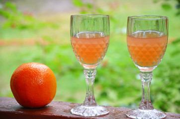 Glass of aperol spritz cocktail on a background of green foliage, selective focus