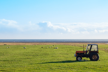 Fototapeta premium Icelandic rural landscape. View of farmland agricultural field with a tractor, countryside grazing sheep with sea and sky background in Southern Iceland, Scandinavia
