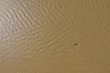 Fototapeta na wymiar Solitary single pebble in textured rippled sand