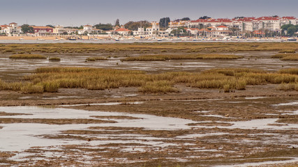 Obraz premium Marshlands in Punta Umbria In the province of Huelva