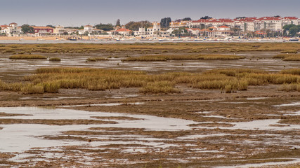 Marshlands in Punta Umbria In the province of Huelva