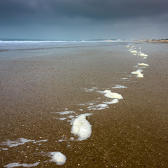 Sea foam on the shore of the beach