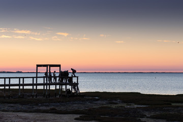 Fototapeta na wymiar Boys watching the sunset from old wooden jetty