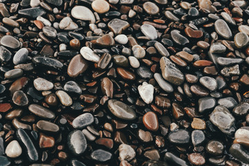Wet sea pebbles