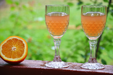 Glass of aperol spritz cocktail on a background of green foliage, selective focus