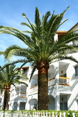Fototapeta premium Architecture on Mallorca Island