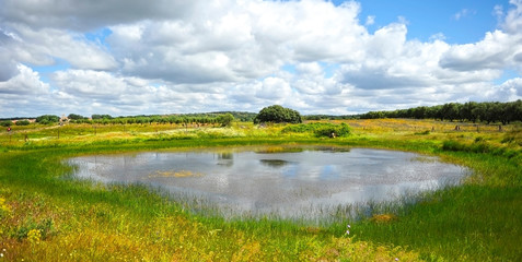 Spring in Extremadura. Via de la Plata in the province of Cáceres near Aldea del Cano village, Spain