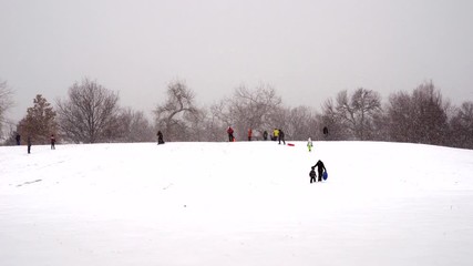 People playing in the park during in snowy weather