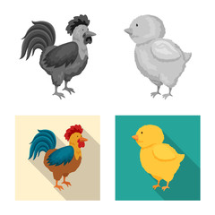 Vector design of breeding and kitchen sign. Collection of breeding and organic vector icon for stock.