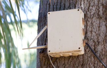 Wireless router hanging in a tree