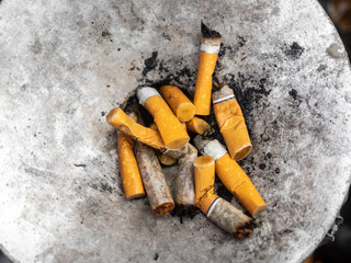 Squeezed remnants of cigarettes in an ashtray