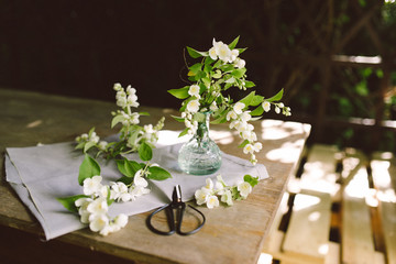 White flowers on the table