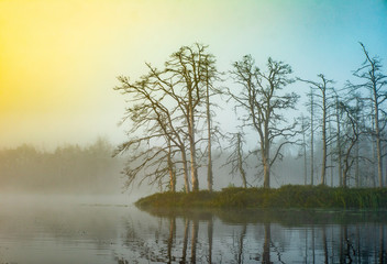 Fototapeta na wymiar Landscape of misty swamp. Reflection in water. Forest and fog.