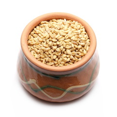 Wheat ears and grains in clay pot isolated on white background 