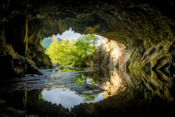 Rydal Cave during golden hour with tree lit up at cave mouth, lake district, UK