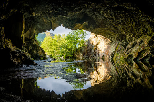 Rydal Cave during golden hour with tree lit up at cave mouth, lake district, UK