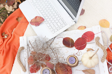 Notebook and autumn still life on a litter in the autumn garden. Work remotely. Freelancer.