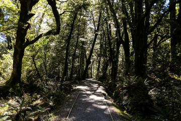 New Zealand