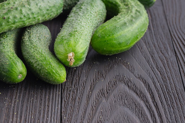 Cucumber harvest. many cucumbers. cucumbers from the field