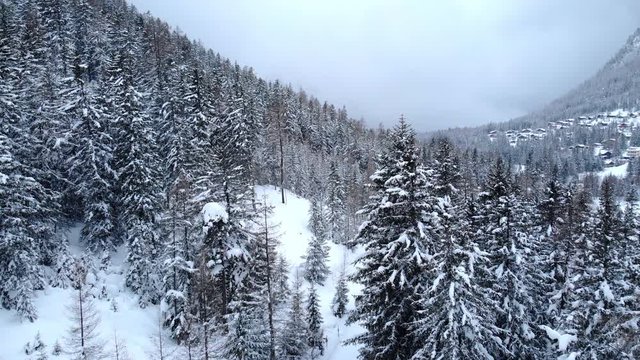 4K Cinematic winter mountain forest aerial shot. Camera flying over a pine forest covered with snow