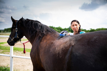 Cleaning the horse with a comb, removing fur and dirt