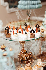 Banquet table full of fruits and berries and an assortment of sweets. Stylish luxury decorated candy bar for the celebration of a wedding of happy couple, catering in the restaurant