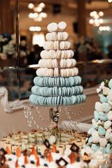Sweet and colourful french macarons in the wedding day. Luxury wedding catering, table with modern desserts, cupcakes, sweets with fruits. Delicious candy bar at expensive wedding reception.