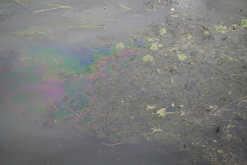 river polluted by human waste. A bottle in a river and a gasoline stain