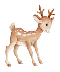 deer