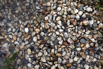 Colored natural stones on the shore of a wild reservoir. Natural background