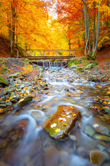 Autumn landscape - Old wooden bridge fnd river waterfall in colorful autumn forest park with yellow...