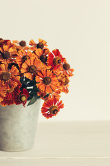 Autumn bouquet of bright flowers (Helenium autumnale) in a vintage pot. Concept for autumn background or postcard.