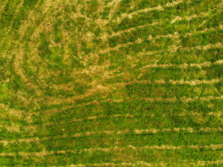 Small green field by a river, Aerial top view,