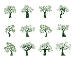 Set of Olive Trees on white background. Vector Illustration and concept pictogram.